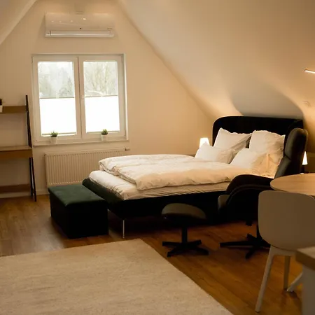 Haus Salinen Apartment